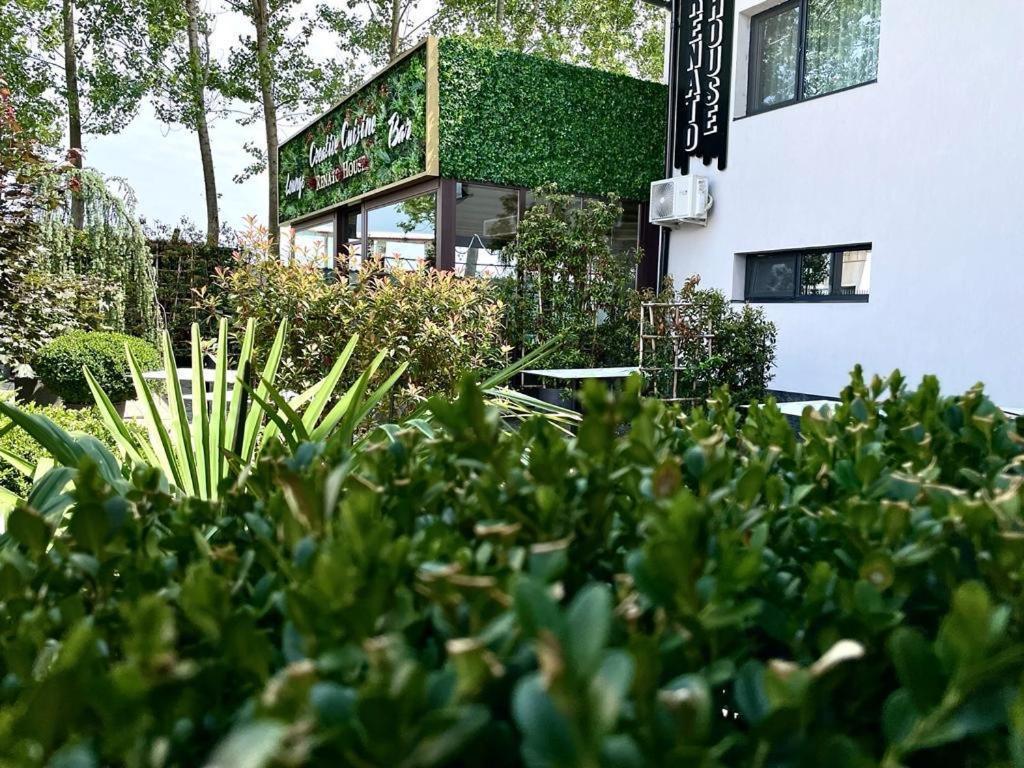 Renato House Otel Târgu Jiu Dış mekan fotoğraf