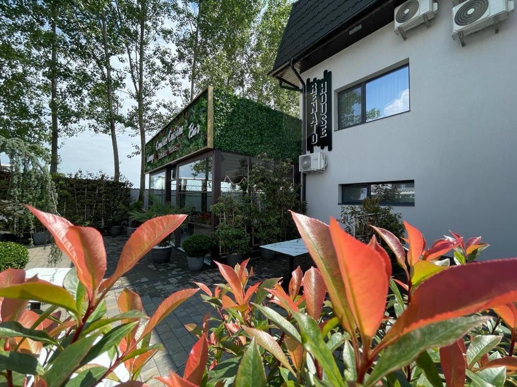 Renato House Otel Târgu Jiu Dış mekan fotoğraf